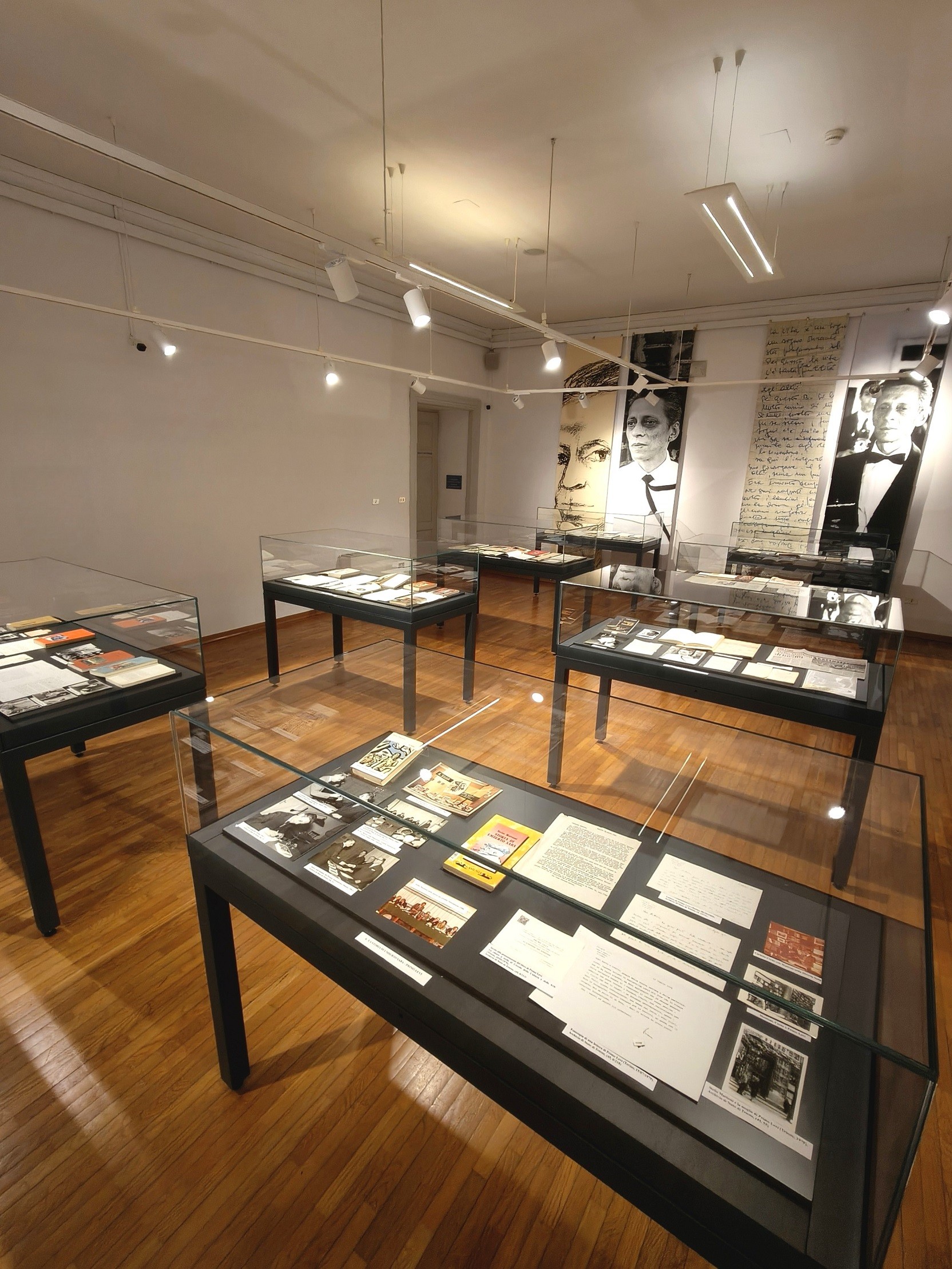 Visita guidata alla mostra "Dove. Il mondo di Stelio Mattioni (1921-1997)